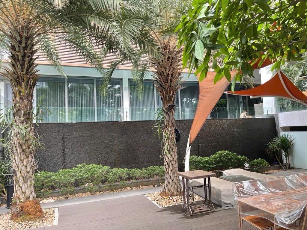 Không gian Sân vườn & Ẩm thực — view 2